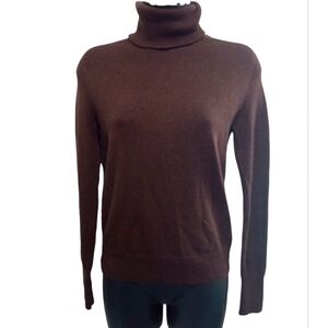 Everlane Brown Turtleneck Sweater